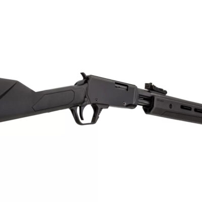 Carabina Rossi Gallery 22 LR 18 in 15-Rounds Black Polymer Rifle